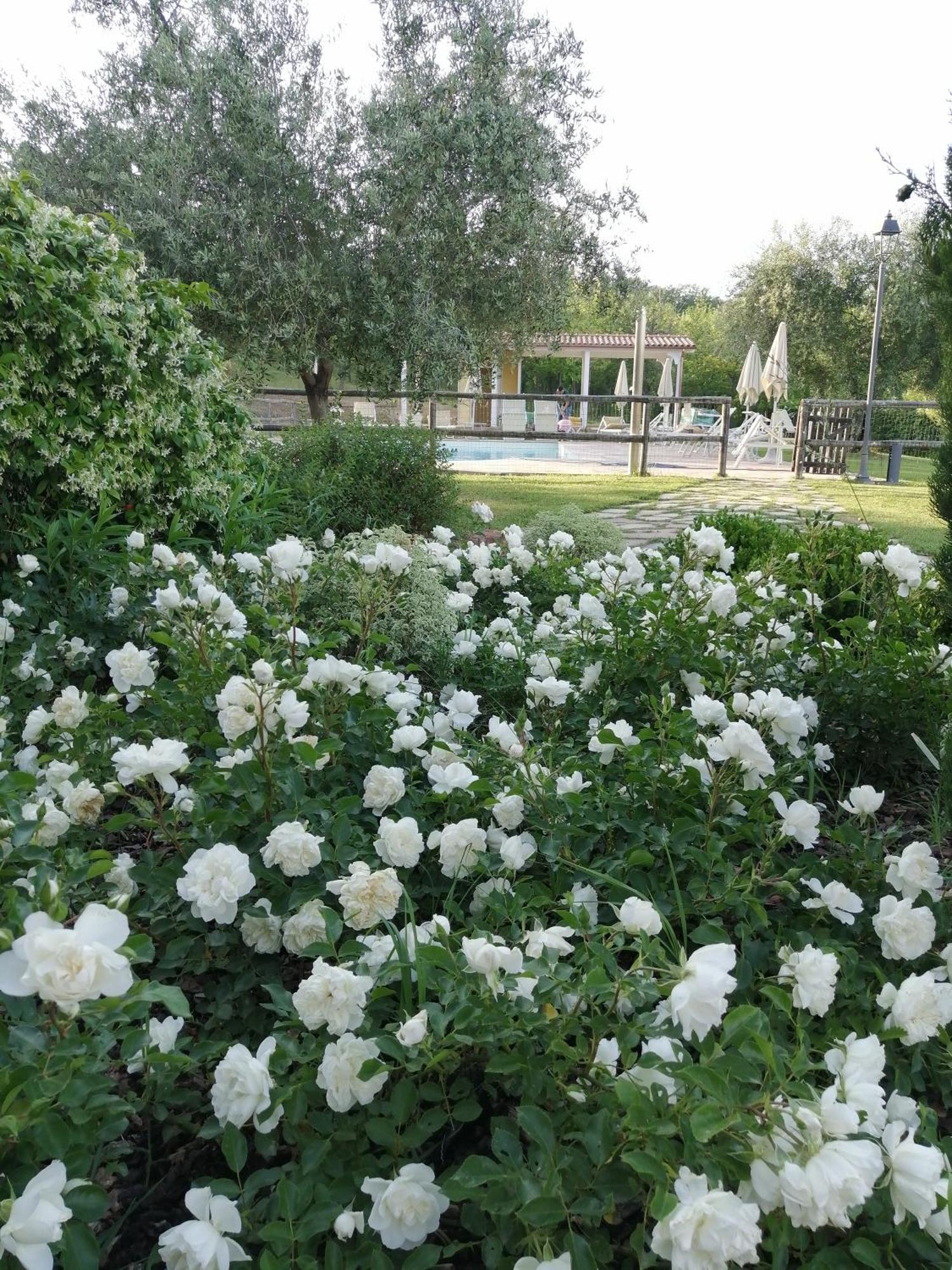 Agriturismo Villa Beatrice Mondavio Eksteriør billede