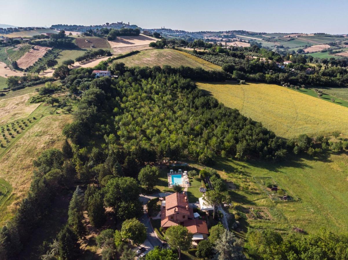 Agriturismo Villa Beatrice Mondavio Eksteriør billede